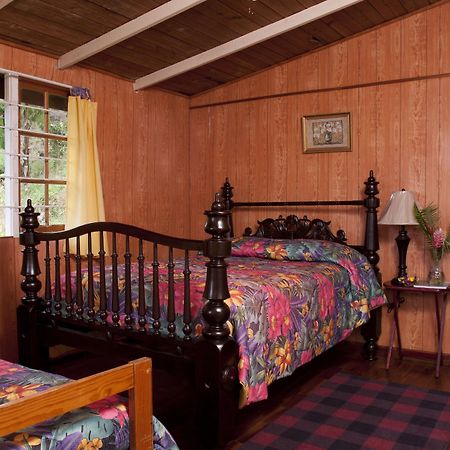 Forres Park Hotel كينغستون المظهر الخارجي الصورة