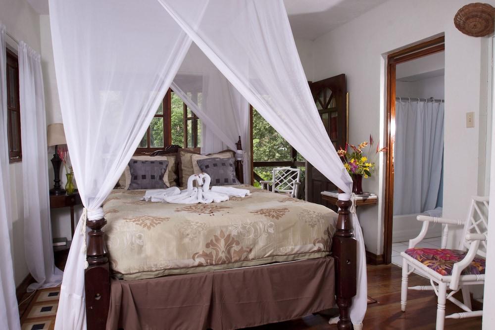 Forres Park Hotel كينغستون المظهر الخارجي الصورة
