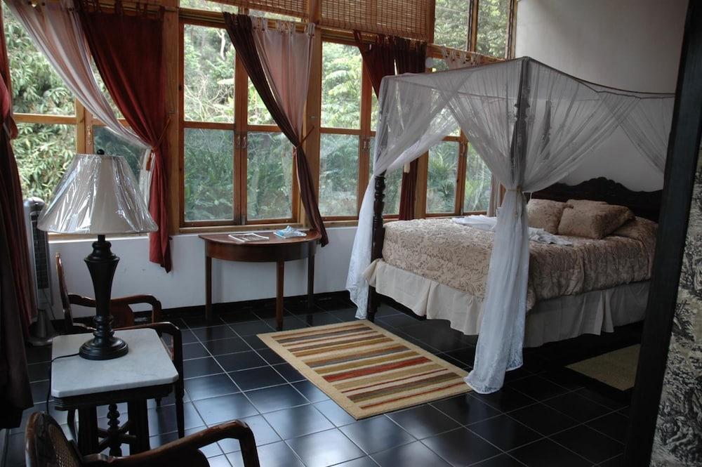Forres Park Hotel كينغستون المظهر الخارجي الصورة
