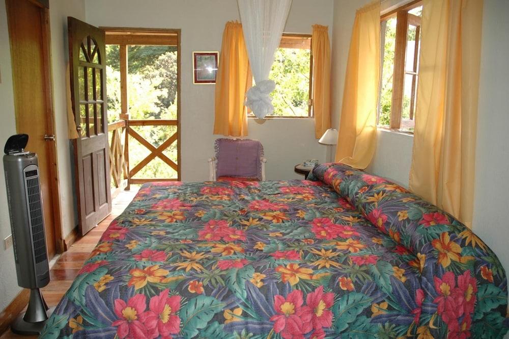 Forres Park Hotel كينغستون المظهر الخارجي الصورة