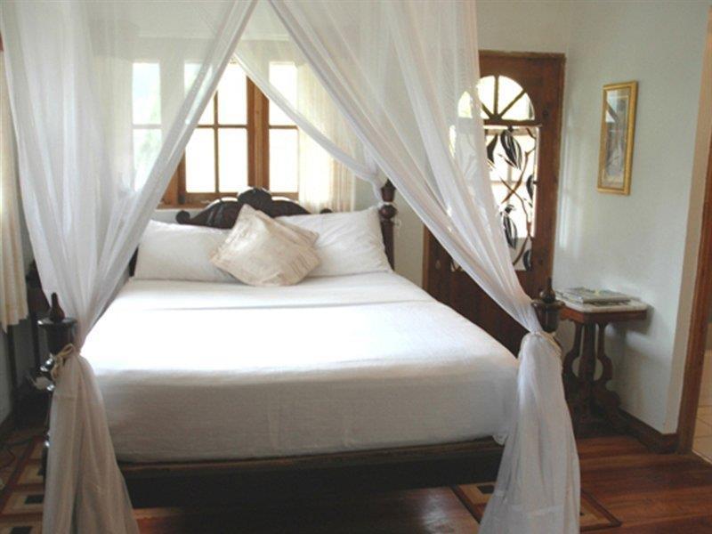 Forres Park Hotel كينغستون المظهر الخارجي الصورة