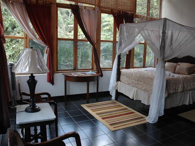 Forres Park Hotel كينغستون المظهر الخارجي الصورة